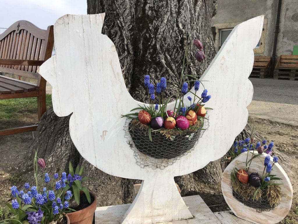 Photo 11.04.19 11 34 26