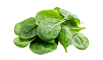 Poivrons de la Ferme des Huttins