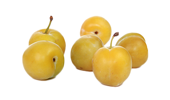Poivrons de la Ferme des Huttins