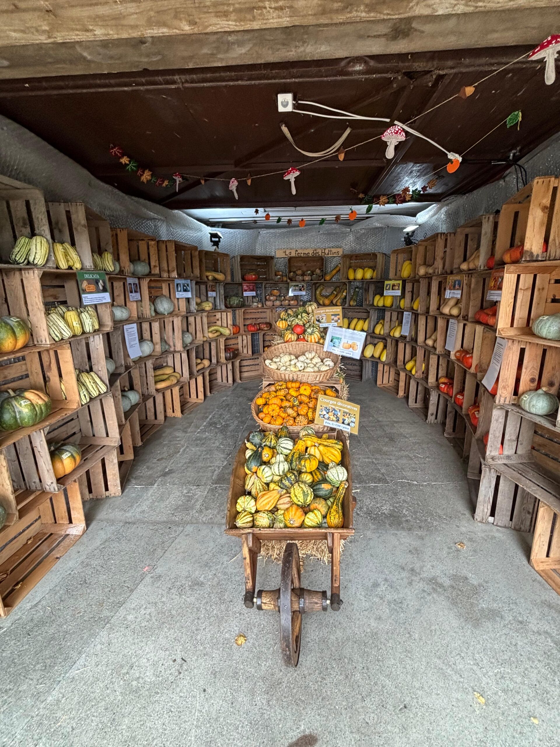 WhatsApp Image 2025-09-13 at 13.47.36